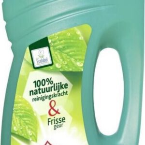 Andy Allesreiniger Vertrouwd 1 L 6 x 1 l