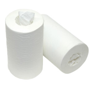 Mini poetspapier zk CEL 1L 120 mtr x 20 cm - 12 rol p/ds