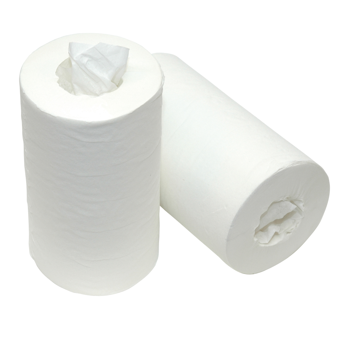 Mini poetspapier zk CEL 1L 120 mtr x 20 cm - 12 rol p/ds