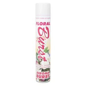 AIROMA BURST Spuitbus Floral Doos 6x750ml