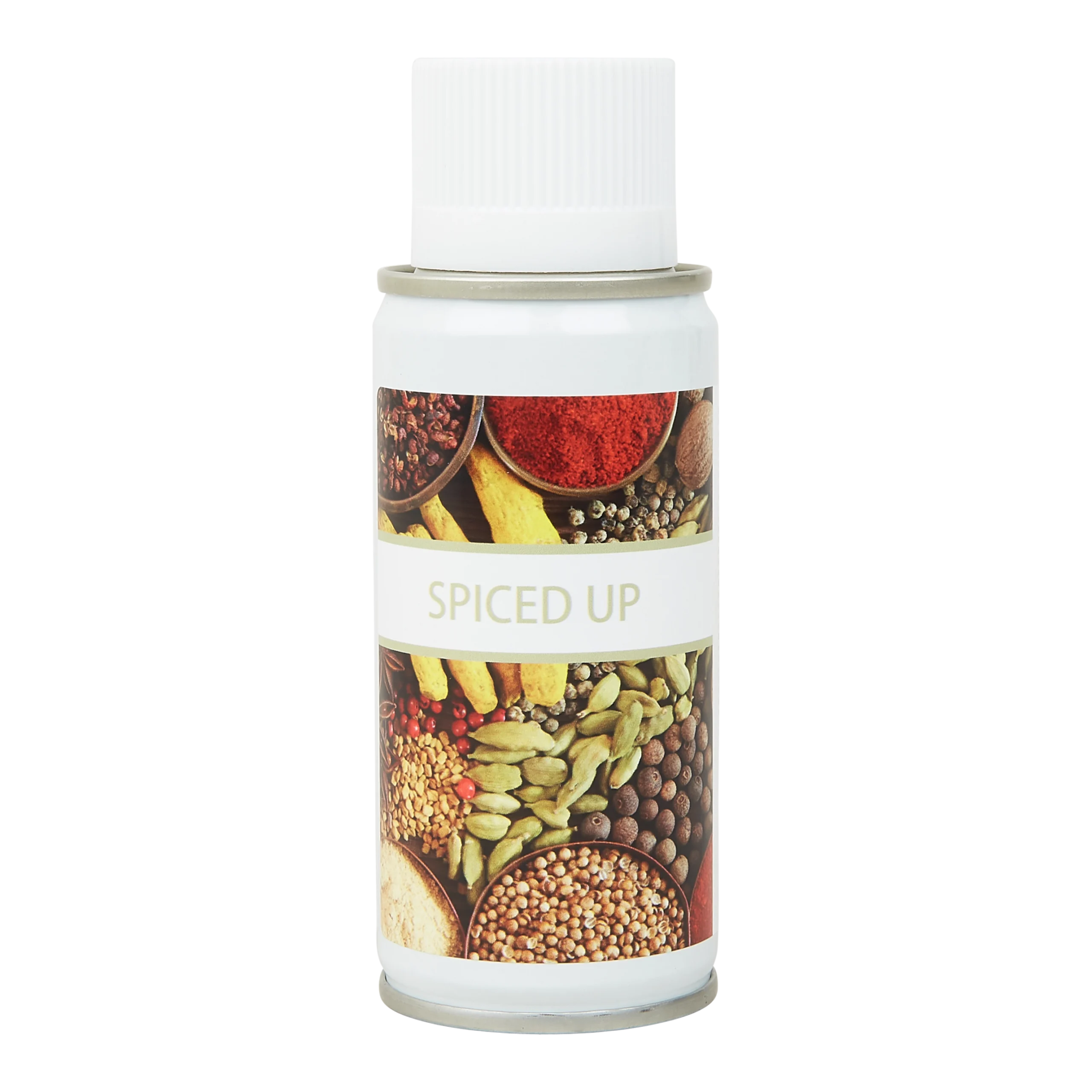Euro Aerosol Spiced, 12x100ML