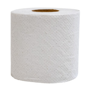 Toiletpapier 250 vel 2-lgs naturel rec Pak 9 x 8 rol